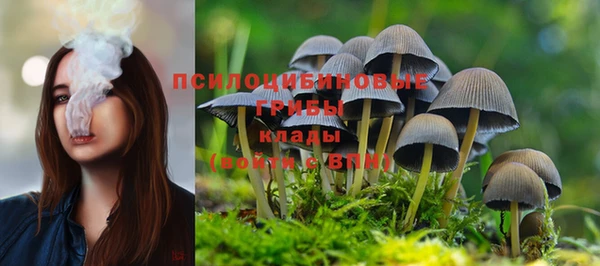 прущая мука Алексеевка