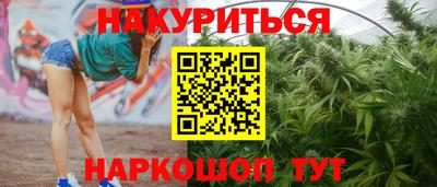 крисы Азнакаево
