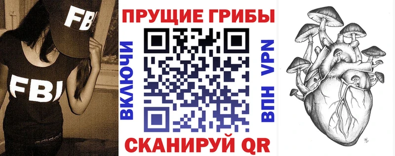 Галлюциногенные грибы Cubensis  что такое   Алексеевка 